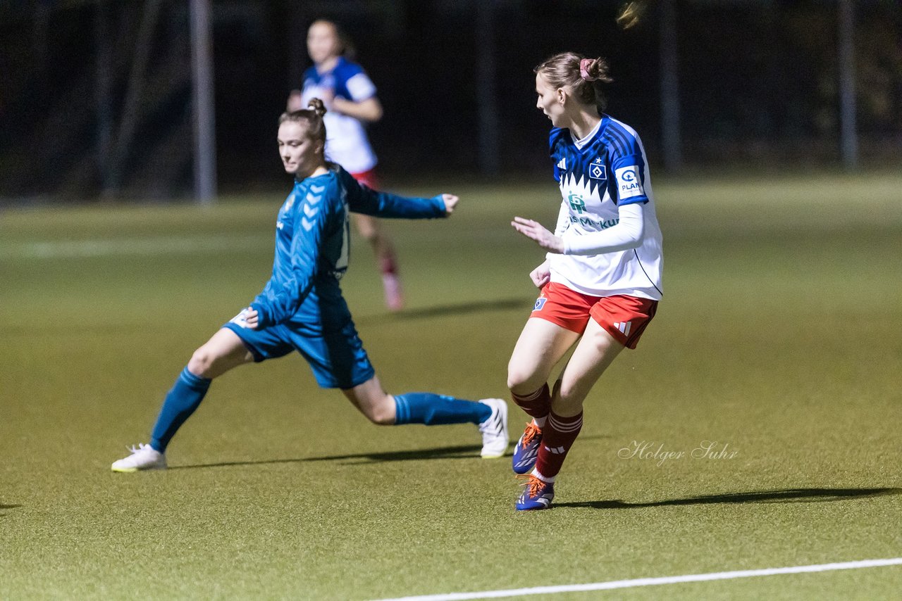 Bild 149 - F SC Alstertal-Langenhorn - Hamburger SV 3 : Ergebnis: 2:2